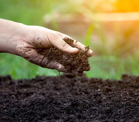 Landscape Supplies Wellington - Garden products Upper Hutt